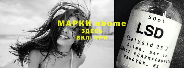 сатива Вяземский