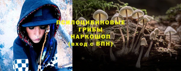 ГАЛЛЮЦИНОГЕННЫЕ ГРИБЫ Вязники